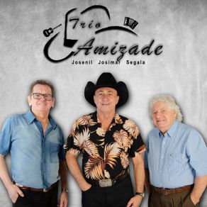 Download track Ze Ruella Trio Amizade