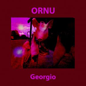 Download track Kutaisi Ornu