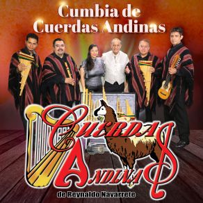 Download track Rica Cumbia Cuerdas Andinas De Reynaldo Navarrete