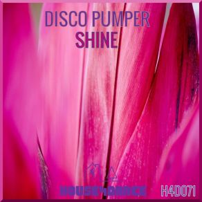 Download track Lost In Time (Radio Mix) Disco Pumper