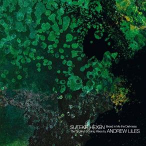 Download track Selling Light To Lesser Gods Andrew Liles, Sutekh Hexen