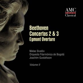 Download track Egmont Overture Niklas SivelovBogota Philharmonic Orchestra