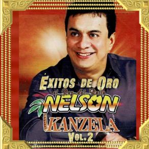 Download track Al Ritmo De Mi Violín Nelson Kanzela