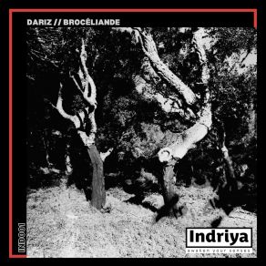 Download track Brocéliande Dariz