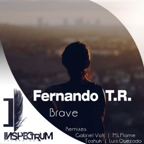 Download track Brave (Original Mix) Fernando TR