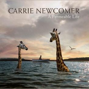 Download track Writing You A Letter Carrie Newcomer