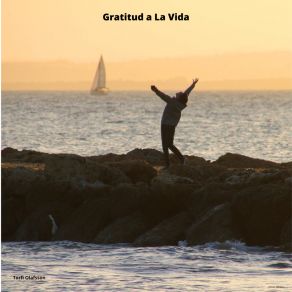 Download track Gratitud A La Vida Torfi Olafsson