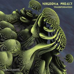 Download track Rhythm Of The Earth Nirgoona Project