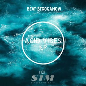 Download track Acid Vibes Beat Stroganow