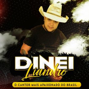 Download track Quem Me Colocou Pra Beber / Eu Acho Que Não (Ao Vivo) Dinei Liandro