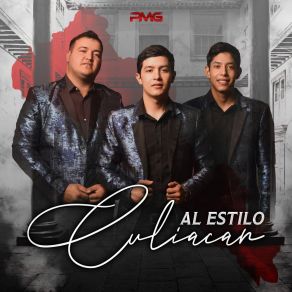 Download track Plan De Vuelo Efecto Elegante