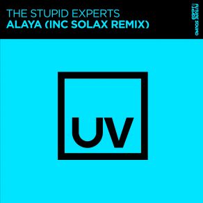 Download track Alaya (Original Mix) The Stupid Experts