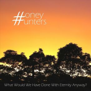 Download track Whirlwind Honey Hunters