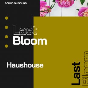 Download track Last Bloom Haushouse