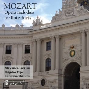 Download track Die Zauberflöte, K. 620 (Arr. For Flute Duo) - In Diesen Heil Gen Hallen Maxence Larrieu, Shigeko Tojo, Kazutaka Shimizu