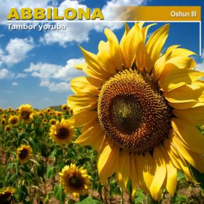 Download track Ochun 1 Grupo Abbilona