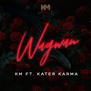 Download track Wagwan Kater Karma