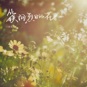 Download track 簇拥烈日的花 良良木