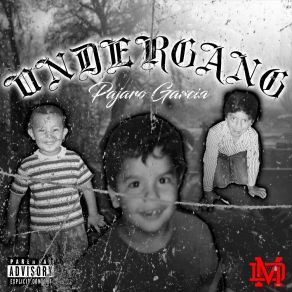 Download track Intro UnderGang Pajaro Garcia