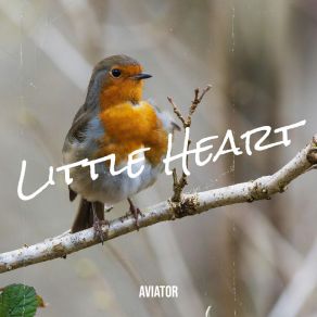 Download track Little Heart - Radio Edit Aviator