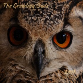 Download track Rock And Roll Child The Growling Owls