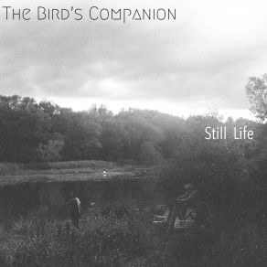 Download track Twelve Sunflowers The Bird's Companion