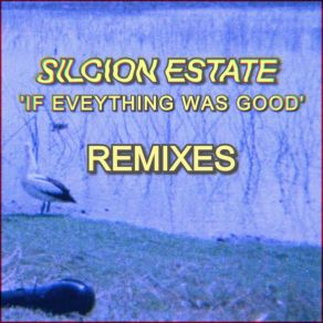 Download track If Everything Was Good (Dans Remix) Silicon EstateDans