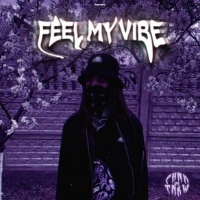 Download track Feel My Vibe Meedas