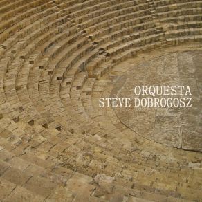 Download track Birds At Dawn / Birds At Dusk (Demo) Steve Dobrogosz