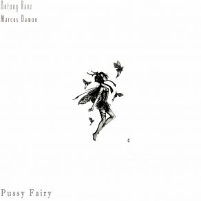 Download track Pussy Fairy (Clean Radio Edit) Antony Ranz