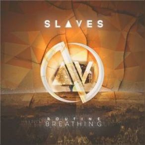 Download track Why Fit In When You Can Stand Out? The Slaves