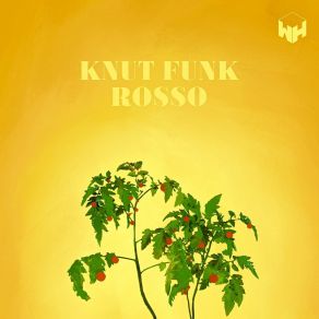 Download track Harrison Knut Funk