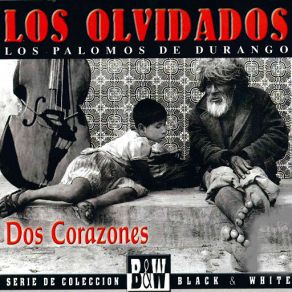 Download track Concha Perdida Los Palomos De Durango