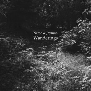 Download track Sonnenuntergang NEMO, Nemo & Jaymon, Jaymon