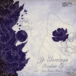 Download track Peculiar (Original Mix) JP Elorriaga