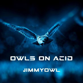 Download track Mission JimmyOwl