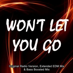 Download track Won't Let You Go (Original Radio Version) DJ Martin