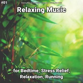 Download track Relaxing Music, Pt. 36 Relaxing Spa Music