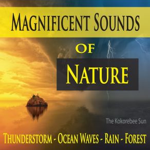 Download track Magnificent Relaxing Rain The Kokorebee Sun