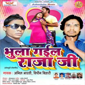 Download track Gharaba Aa Ja Saian Anil Bharti