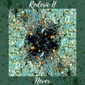 Download track Never (Extended Mix) Roderic H