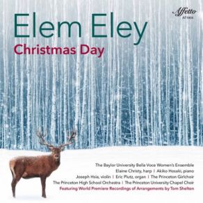 Download track Some Children See Him (Arr. For Voice & Organ) Elem Eley