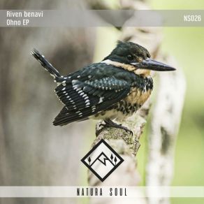 Download track Back To The Basic Riven Benavi