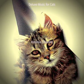 Download track Fantastic (Kittens) Deluxe Music For Cats