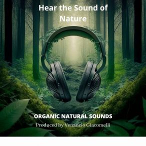 Download track Zen Garden Serenade Organic Natural Sounds