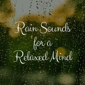 Download track Gentle And Soothing Rain, Pt. 14 Rain FX