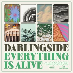 Download track Can't Help Falling Apart Darlingside