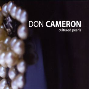 Download track Somebody Other Than Me Don Cameron