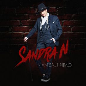 Download track N-Am Baut Nimic Sandra N.