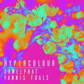 Download track Hypercolour CamelPhatFoals, Yannis